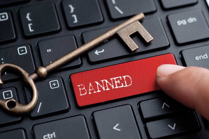 What Happens if U.S. Government Bans TikTok?