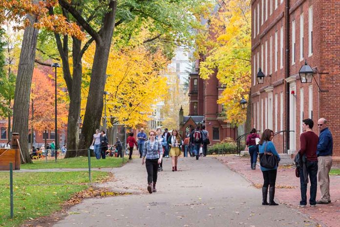 193437935 featured image People walking on a college campus in autumn.