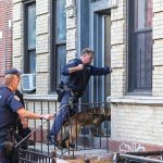 Officers with police dog entering a brick building