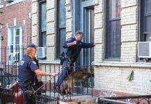 Officers with police dog entering a brick building