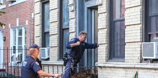 Officers with police dog entering a brick building