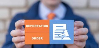 Hands holding blocks reading deportation order gavel icon