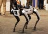 Robotic dog standing on indoor carpeted floor