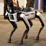Robotic dog standing on indoor carpeted floor