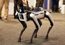 Robotic dog standing on indoor carpeted floor