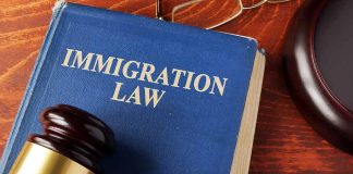 Blue immigration law book with wooden gavel