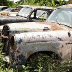 Row of abandoned, rusty cars partially covered in grass and weeds