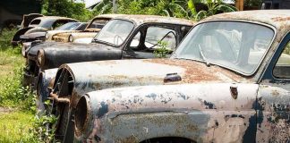 Row of abandoned, rusty cars partially covered in grass and weeds