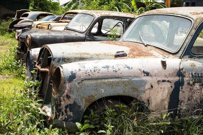 Row of abandoned, rusty cars partially covered in grass and weeds