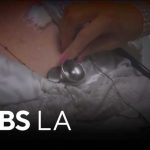 Justice Department to crackdown on healthcare and hospice