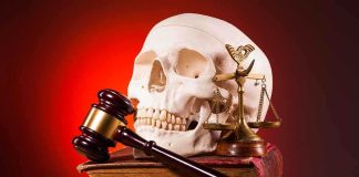 A skull, gavel, and scales of justice on a book against a dark background