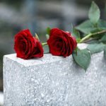 Two red roses on a grave.