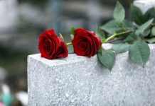 Two red roses on a grave.