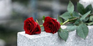 Two red roses on a grave.