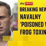 Alexei Navalny died after being poisoned with dart frog toxin