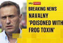 POISON FROG Toxin Murdered Putin Critic Alexei Navalny died after being poisoned with dart frog toxin