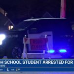 Random Teen Stabbed Stranger — No Motive Mass. high school student accused of killing woman in '