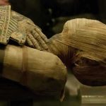 Close-up of an Egyptian mummy displayed in a museum