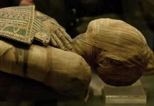 Close-up of an Egyptian mummy displayed in a museum