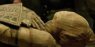 Close-up of an Egyptian mummy displayed in a museum