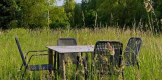 Woke Activist Declares Lawns RACIST — Backlash Explodes A rustic table and chairs set in a grassy field surrounded by nature