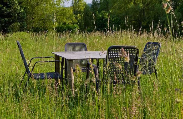 A rustic table and chairs set in a grassy field surrounded by nature