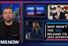 Democrats’ Stunning Self-Blame Game Revealed Why won't the DNC release its 2024 autopsy?