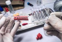 Survivor’s Words Helped Break Serial Killer Case Gloved hands holding evidence swab in laboratory.