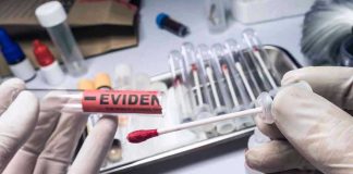 Survivor’s Words Helped Break Serial Killer Case Gloved hands holding evidence swab in laboratory.