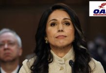 Gabbard: U.S. Taxpayer Money Funded 120+ Foreign Biolabs, New Documents Reveal