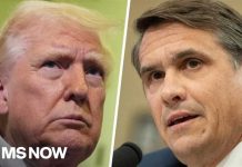Blanche: Trump still protected from IRS audits