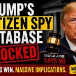 Biden Judge Guts Trump Voter Tool The SAVE Database Is Dead. Here's Why The Judge Tossed It.