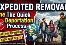 Expedited Removal Anywhere