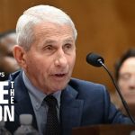 Fauci testifies on COVID-19 origins before key Senate panel | full video