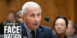 Fauci testifies on COVID-19 origins before key Senate panel | full video