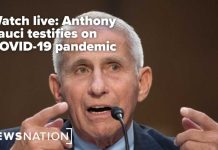 Doctors Can’t Be Punished for Rejecting Government COVID Claims Watch live: Anthony Fauci testifies on COVID-19 pandemic