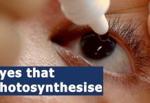 Photoswitch Drops Tease Vision Comeback Eyes that photosynthesise | NUS CDE researchers plant a cure for dry eye disease