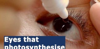 Eyes that photosynthesise | NUS CDE researchers plant a cure for dry eye disease