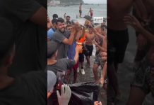 In Ceuta, the death of a baby dolphin filmed on a beach sparks outrage.