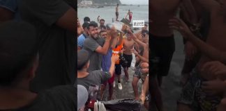 In Ceuta, the death of a baby dolphin filmed on a beach sparks outrage.