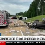ALEA and ICE detain dozens of illegal truck drivers in Alabama, 12 with no license at all