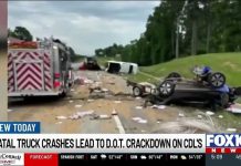 Illegal Commercial Driver Licenses Exposed—States in Trouble ALEA and ICE detain dozens of illegal truck drivers in Alabama, 12 with no license at all
