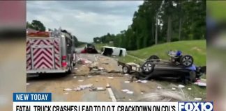 ALEA and ICE detain dozens of illegal truck drivers in Alabama, 12 with no license at all