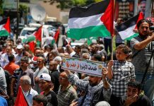 Crowd of protesters holding Palestinian flags in a street demonstration