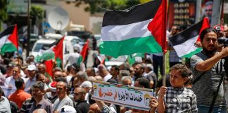 Crowd of protesters holding Palestinian flags in a street demonstration