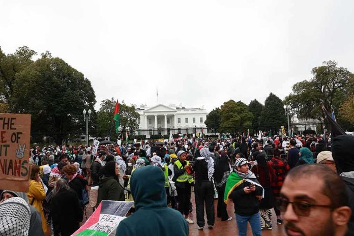 shutterstock_2375150937-1 Walter Jones among protesters in front of the White House