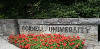 Wrong Man Named in Cornell Case Then HELL Broke Loose Cornell University stone sign with red flowers