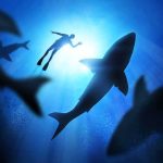 Sea Snakes and HAMMERHEADS Hit California Waters Diver surrounded by sharks in deep blue water